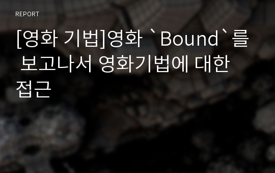 [영화 기법]영화 `Bound`를 보고나서 영화기법에 대한 접근