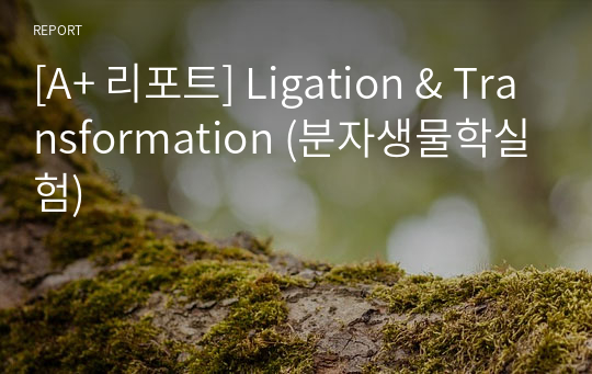 [A+ 리포트] Ligation &amp; Transformation (분자생물학실험)