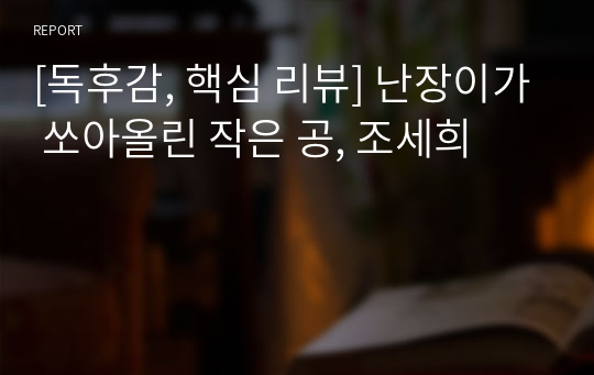 [독후감, 핵심 리뷰] 난장이가 쏘아올린 작은 공, 조세희