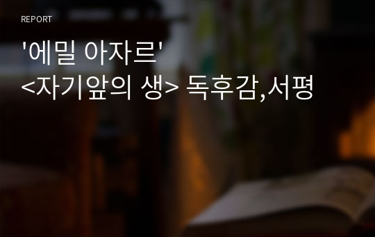 &#039;에밀 아자르&#039; &lt;자기앞의 생&gt; 독후감,서평