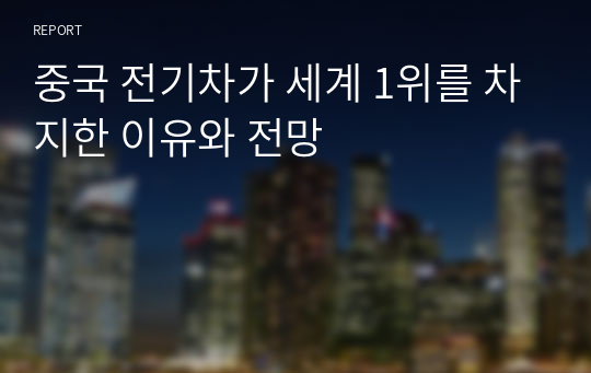 중국 전기차가 세계 1위를 차지한 이유와 전망