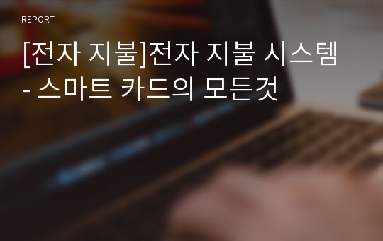 [전자 지불]전자 지불 시스템 - 스마트 카드의 모든것