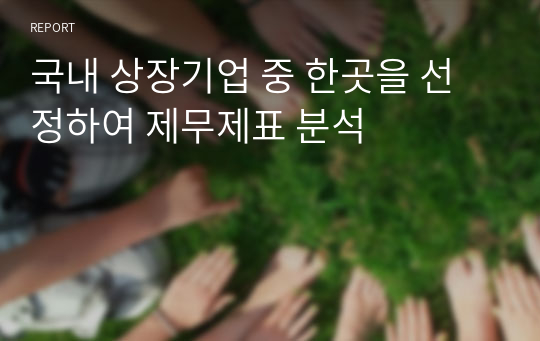 국내 상장기업 중 한곳을 선정하여 제무제표 분석