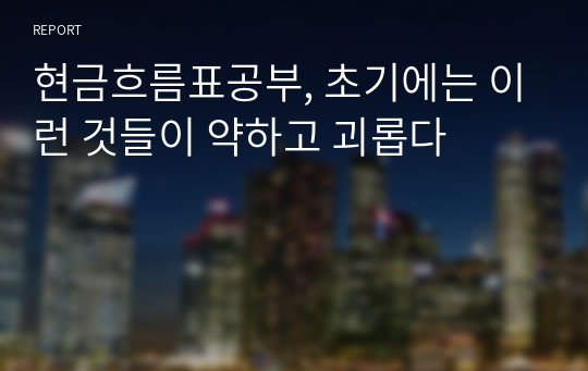 현금흐름표공부, 초기에는 이런 것들이 약하고 괴롭다