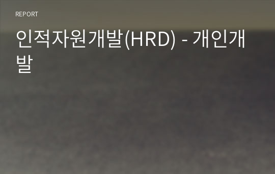 인적자원개발(HRD) - 개인개발