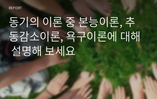 동기의 이론 중 본능이론, 추동감소이론, 욕구이론에 대해 설명해 보세요