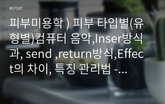 피부미용학 ) 피부 타입별(유형별)컴퓨터 음악,Inser방식과, send ,return방식,Effect의 차이, 특징 관리법 - 피부 타입별(유형별)관리법에 대하여 기술하시오.