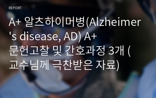 A+ 알츠하이머 치매 간호과정 A+ 문헌고찰 및 간호과정 3개 (교수님께 극찬받은 자료)