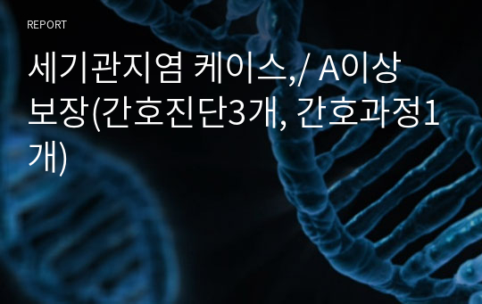 세기관지염 케이스,/ A+보장(간호진단3개, 간호계획1개)