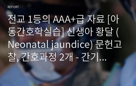 전교 1등의 AAA+급 자료 [아동간호학실습] 신생아 황달 (Neonatal jaundice) 문헌고찰, 간호과정 2개 - 간기능 미숙과 관련된 신생아 황달, 광선요법과 관련된 체액 불균형 위험성