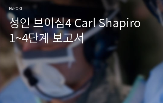 성인 브이심4 Carl Shapiro 1~4단계 보고서