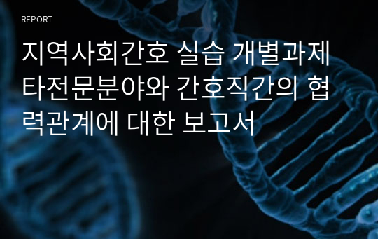 지역사회간호 실습 개별과제 타전문분야와 간호직간의 협력관계에 대한 보고서