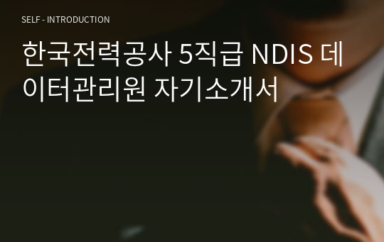 한국전력공사 5직급 NDIS 데이터관리원 자기소개서