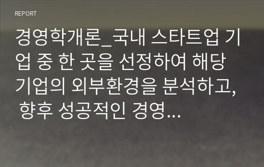 경영학개론_국내 스타트업 기업 중 한 곳을 선정하여 해당 기업의 외부환경을 분석하고, 향후 성공적인 경영을 하기 위한 개선방안을 제시하시오