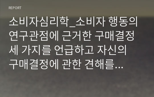 소비자심리학_소비자 행동의 연구관점에 근거한 구매결정 세 가지를 언급하고 자신의 구매결정에 관한 견해를 제시하세요. (1)