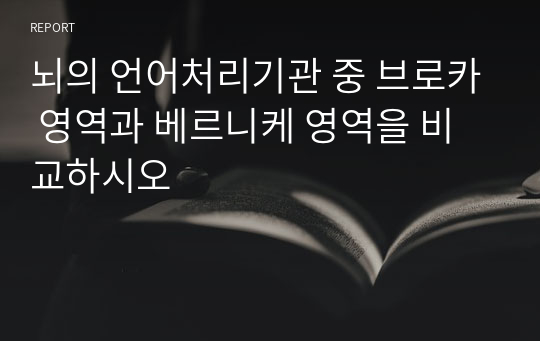 뇌의 언어처리기관 중 브로카 영역과 베르니케 영역을 비교하시오