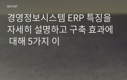 경영정보시스템 ERP 특징을 자세히 설명하고 구축 효과에 대해 5가지 이