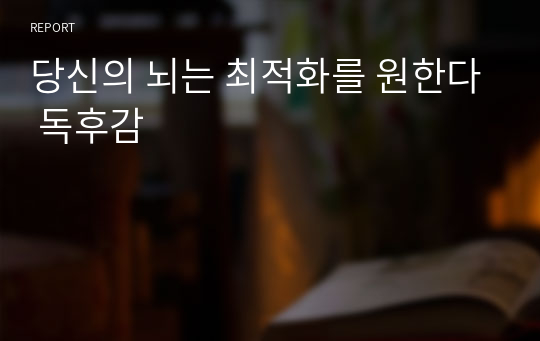 당신의 뇌는 최적화를 원한다 독후감