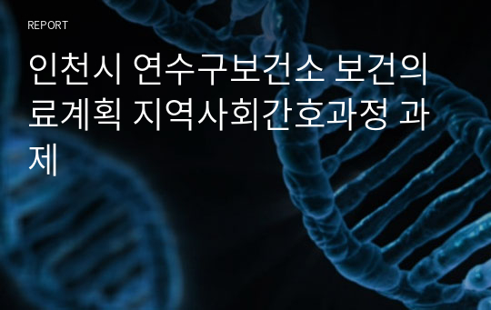 인천시 연수구보건소 보건의료계획 지역사회간호과정 과제