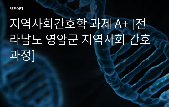 지역사회간호학 과제 A+ [전라남도 영암군 지역사회 간호과정]