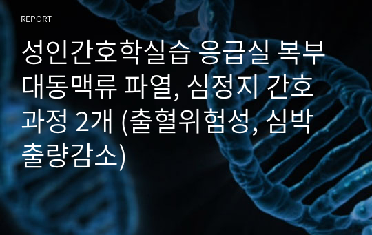 성인간호학실습 응급실 복부대동맥류 파열, 심정지 간호과정 2개 (출혈위험성, 심박출량감소)