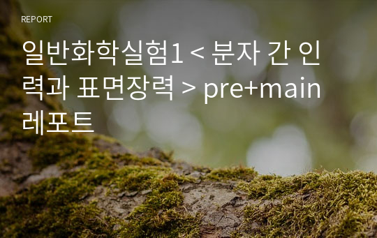 일반화학실험1 A+ &lt; 분자 간 인력과 표면장력 &gt; pre+main 레포트