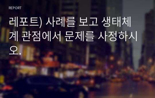 레포트) 사례를 보고 생태체계 관점에서 문제를 사정하시오.