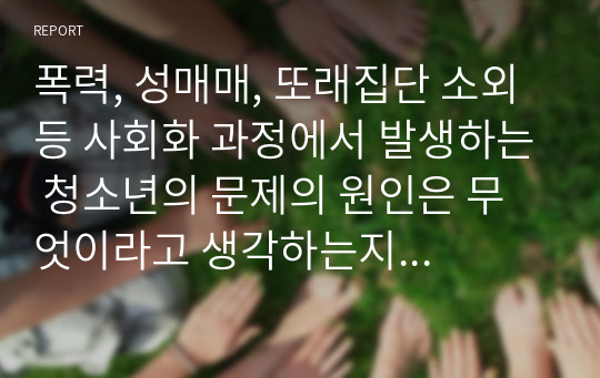 폭력, 성매매, 또래집단 소외 등 사회화 과정에서 발생하는 청소년의 문제의 원인은 무엇이라고 생각하는지 자신의 의견을 제시하시오