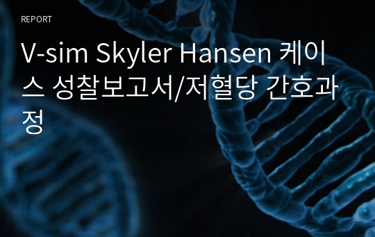 V-sim Skyler Hansen 케이스 성찰보고서/저혈당 간호과정