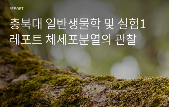 충북대 일반생물학 및 실험1 레포트 체세포분열의 관찰