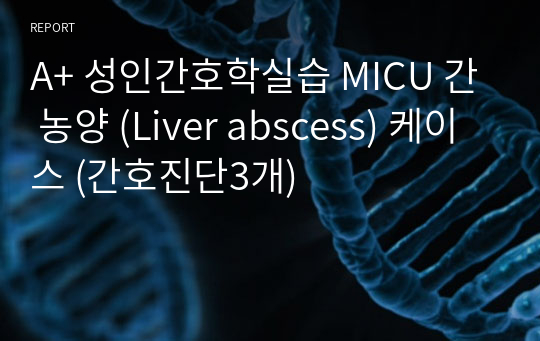 A+ 성인간호학실습 MICU 간 농양 (Liver abscess) 케이스 (간호진단3개)