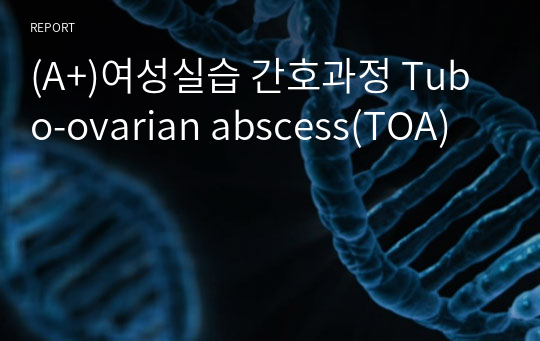 (A+)여성실습 간호과정 Tubo-ovarian abscess(TOA)