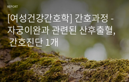 [여성건강간호학] 간호과정 - 자궁이완과 관련된 산후출혈, 간호진단 1개