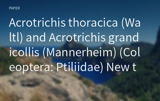 Acrotrichis thoracica (Waltl) and Acrotrichis grandicollis (Mannerheim) (Coleoptera: Ptiliidae) New to Korea