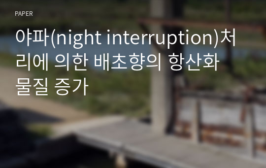 야파(night interruption)처리에 의한 배초향의 항산화 물질 증가