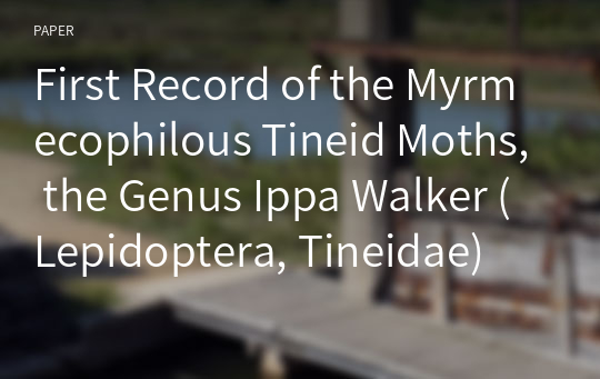 First Record of the Myrmecophilous Tineid Moths, the Genus Ippa Walker (Lepidoptera, Tineidae)