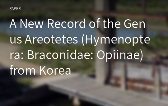 A New Record of the Genus Areotetes (Hymenoptera: Braconidae: Opiinae) from Korea