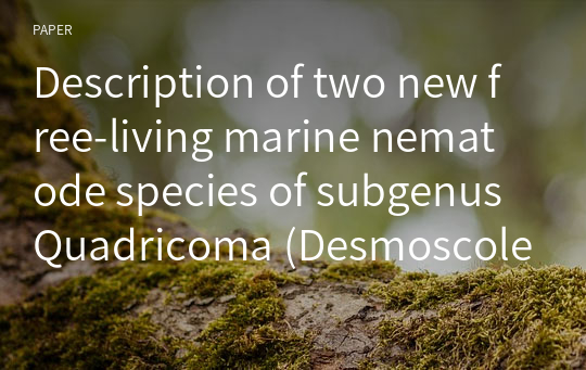 Description of two new free-living marine nematode species of subgenus Quadricoma (Desmoscolecida, Desmoscolecidae, genus Tricoma) from Korea