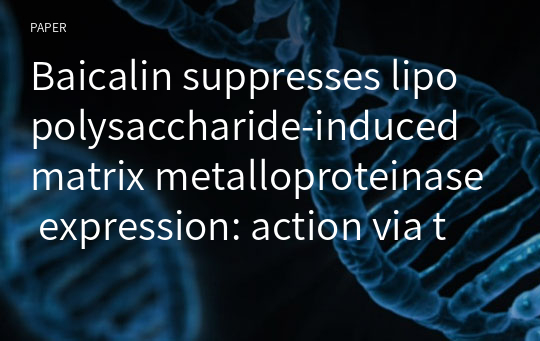 Baicalin suppresses lipopolysaccharide-induced matrix metalloproteinase expression: action via the mitogenactivated protein kinase and nuclear factor κB-related protein signaling pathway