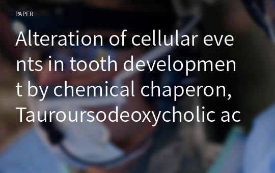 Alteration of cellular events in tooth development by chemical chaperon, Tauroursodeoxycholic acid treatment