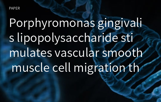 Porphyromonas gingivalis lipopolysaccharide stimulates vascular smooth muscle cell migration through signal transducer and activator of transcription 3-mediated matrix metalloproteinase-9 expression
