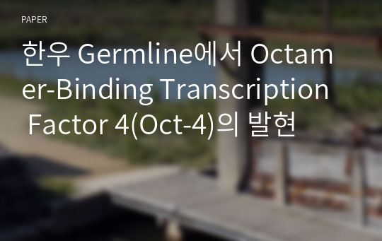한우 Germline에서 Octamer-Binding Transcription Factor 4(Oct-4)의 발현