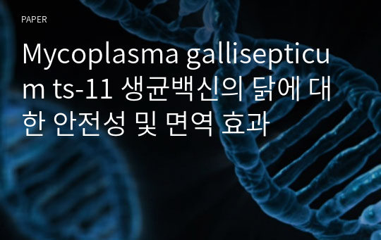 Mycoplasma gallisepticum ts-11 생균백신의 닭에 대한 안전성 및 면역 효과