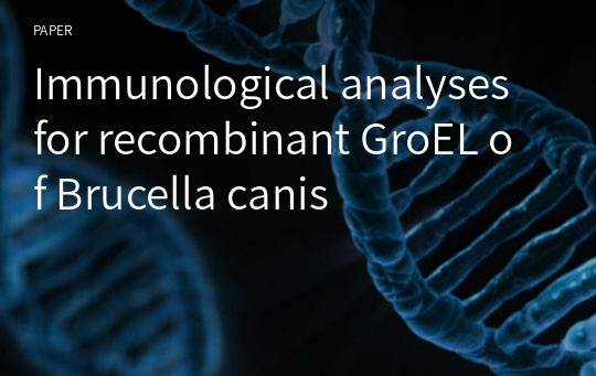 Immunological analyses for recombinant GroEL of Brucella canis