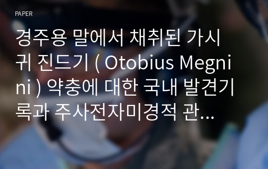 경주용 말에서 채취된 가시 귀 진드기 ( Otobius Megnini ) 약충에 대한 국내 발견기록과 주사전자미경적 관찰동정