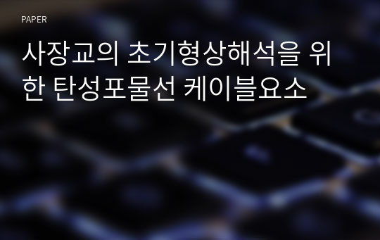 사장교의 초기형상해석을 위한 탄성포물선 케이블요소