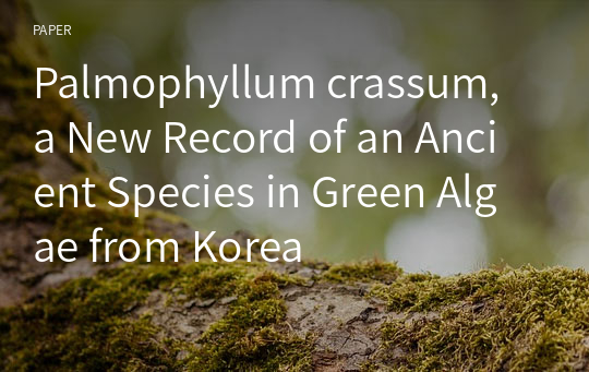 Palmophyllum crassum, a New Record of an Ancient Species in Green Algae from Korea