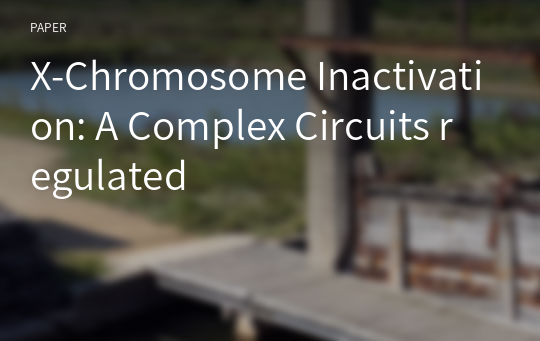 X-Chromosome Inactivation: A Complex Circuits regulated