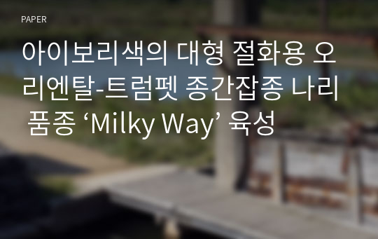 아이보리색의 대형 절화용 오리엔탈-트럼펫 종간잡종 나리 품종 ‘Milky Way’ 육성