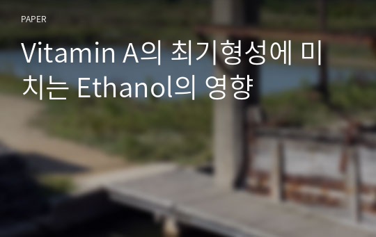 Vitamin A의 최기형성에 미치는 Ethanol의 영향